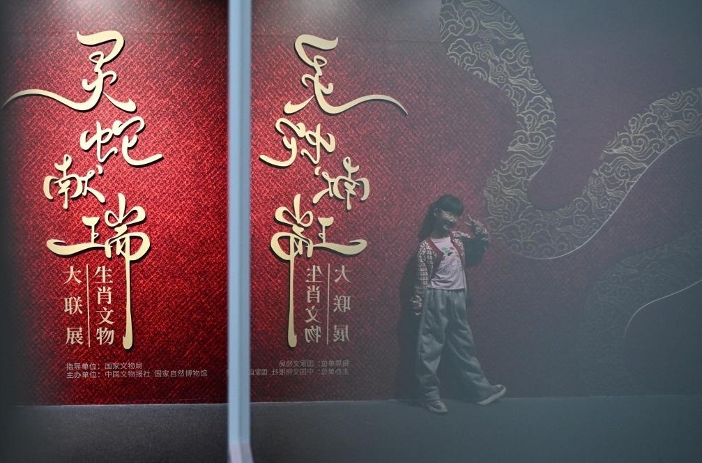 1月18日，一名小朋友在國(guó)家自然博物館舉辦的“靈蛇獻(xiàn)瑞——2025乙巳蛇年生肖文物大聯(lián)展”展覽中拍照留念。（新華社記者 陳鐘昊 攝）