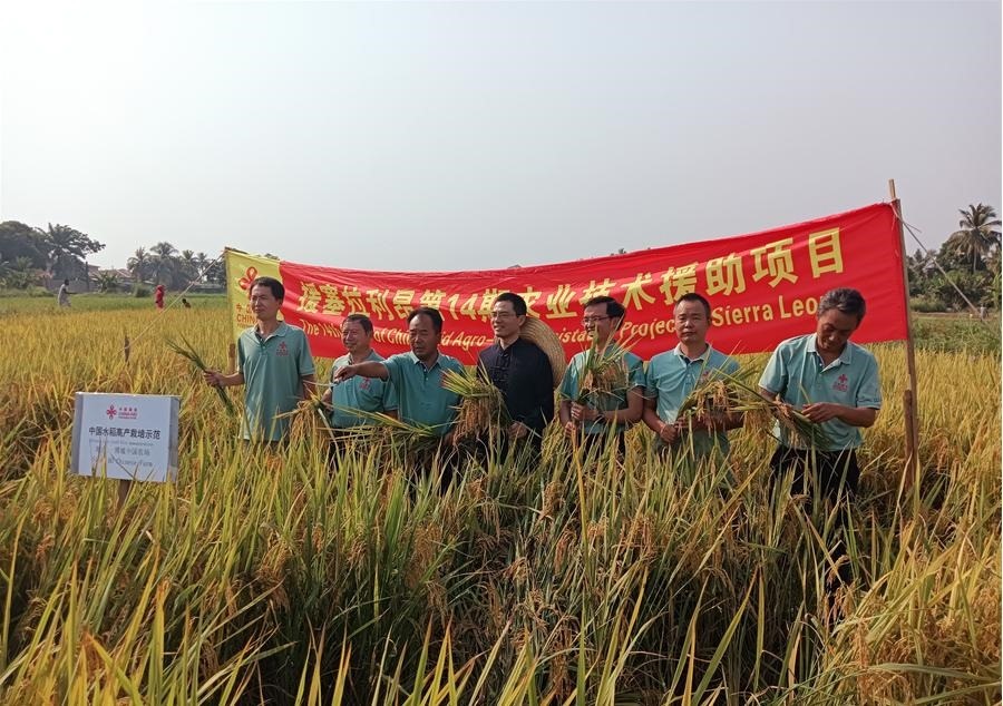 中國(guó)駐塞拉利昂大使王擎和援塞農(nóng)業(yè)專(zhuān)家組合影。中國(guó)援塞農(nóng)業(yè)專(zhuān)家組供圖