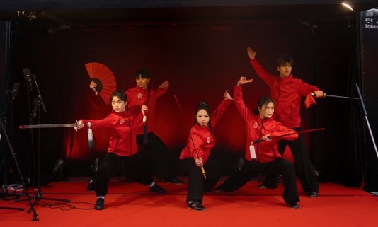 武術(shù)表演。中國(guó)駐芬蘭大使館供圖