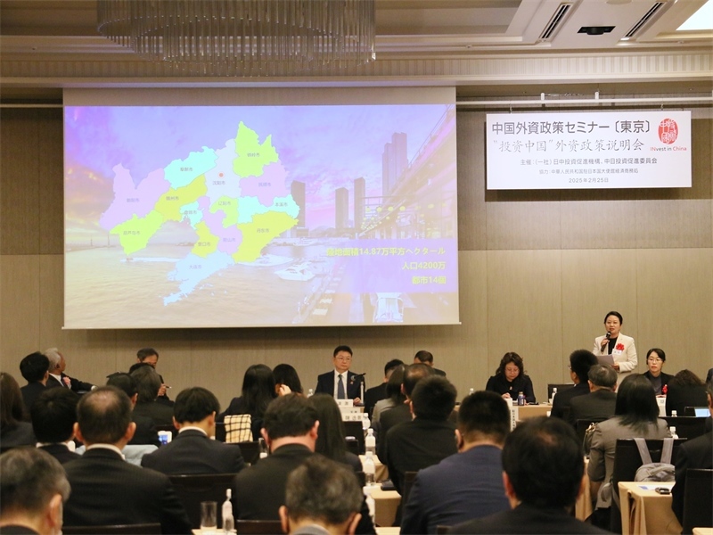 地方代表進行專題投資推介。人民網(wǎng) 許可攝