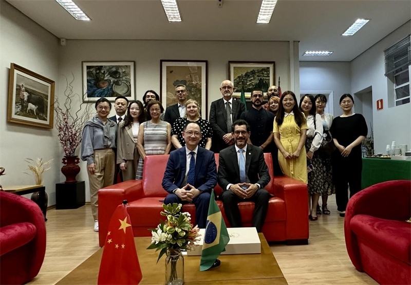 圖為參加座談會的來賓合影留念。 圣保羅州立大學(xué)孔子學(xué)院供圖