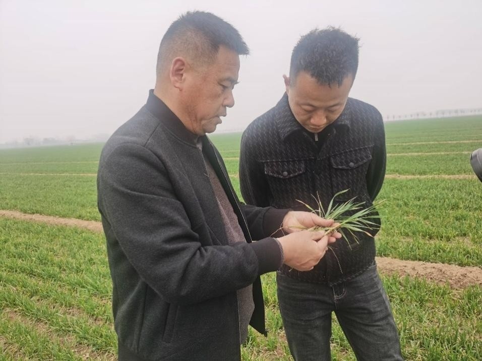 在山東濟寧汶上縣苑莊鎮(zhèn)，農(nóng)技員黃海龍對種糧大戶王振現(xiàn)場進(jìn)行春耕指導(dǎo)。人民網(wǎng)記者 車柯蒙攝