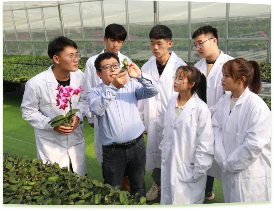 濰坊工程職業(yè)學院科技創(chuàng)新團隊為花卉行業(yè)從業(yè)者作蝴蝶蘭雜交選育技術(shù)指導。學校供圖
