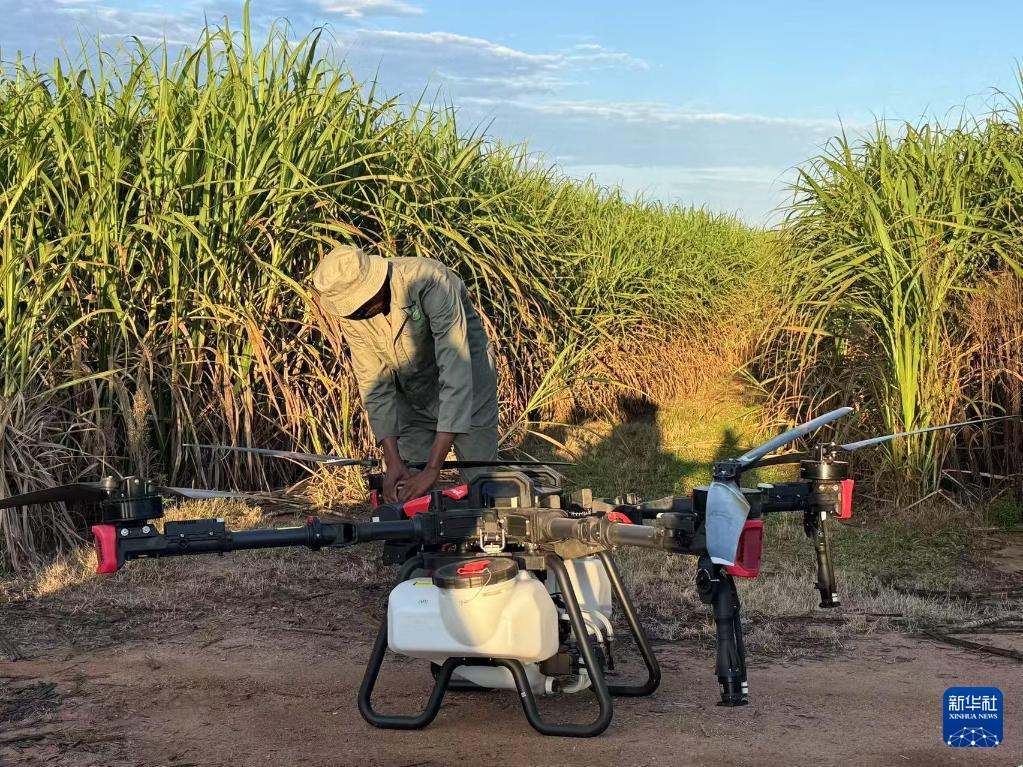3月25日，在南非夸祖魯-納塔爾省的方廷希爾莊園，工作人員為無人機(jī)做起飛作業(yè)前的準(zhǔn)備。新華社記者 白舸 攝