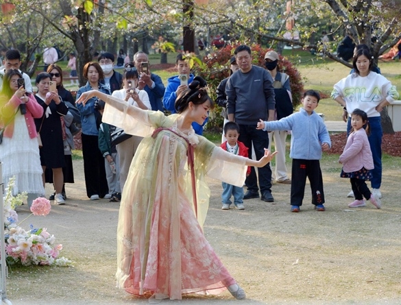 清明假期期間，上海顧村公園櫻花島上，游客在觀賞國風(fēng)漢服快閃表演。（圖片來源：視覺中國）