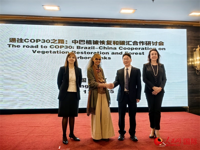 中國(guó)國(guó)家林業(yè)和草原局副局長(zhǎng)李云卿（右二）、巴西環(huán)境和氣候變化部部長(zhǎng)瑪麗娜·席爾瓦（左二）、巴西財(cái)政部副部長(zhǎng)羅熙丹（右一）、巴西駐華大使館公參樂美（左一）出席“通往COP30之路：中巴植樹造林和碳匯合作研討活動(dòng)”。人民網(wǎng)記者 符園園攝