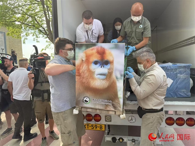 圖為活動(dòng)現(xiàn)場(chǎng)。人民網(wǎng)記者 牛瑞飛攝