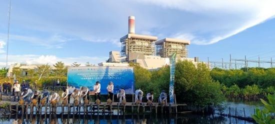 5月18日，中印尼嘉賓在爪哇7號燃煤電站舉行紅樹林補植儀式。記者 曹凱 攝