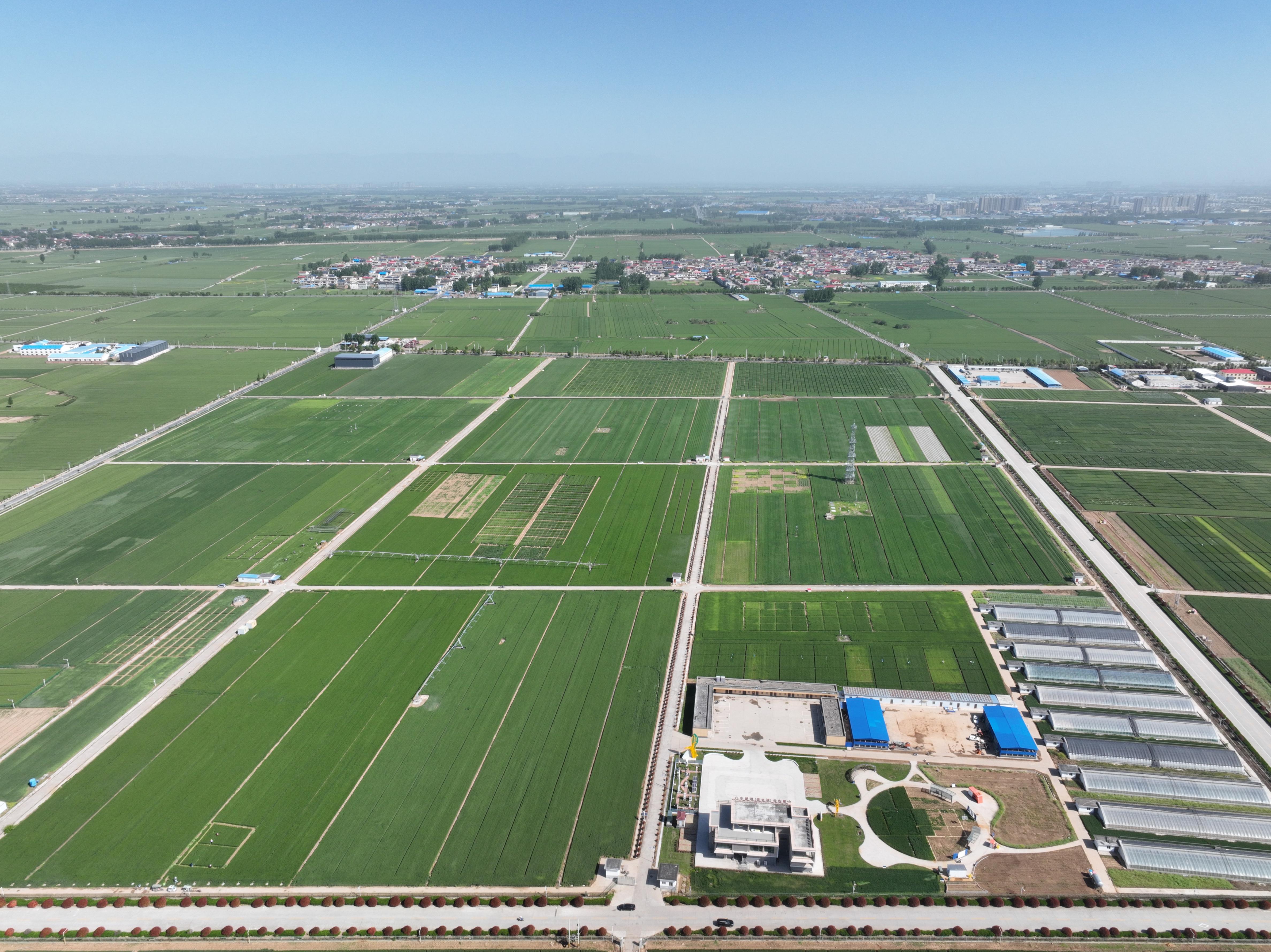 俯瞰水利部灌溉試驗總站試驗研究基地。受訪者供圖