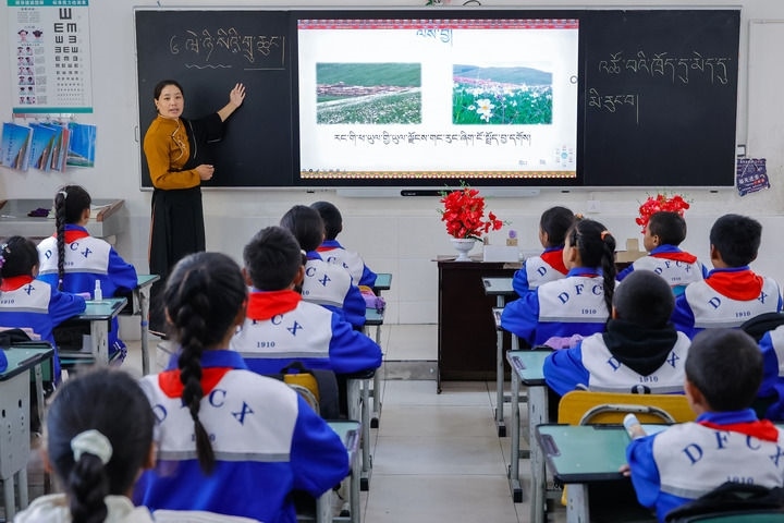 2024年9月27日，在四川省甘孜藏族自治州道孚縣城關(guān)第一完全小學(xué)，采取“藏加模式”教學(xué)的五年級(jí)一班的藏語(yǔ)文課上，準(zhǔn)木周老師指導(dǎo)藏族學(xué)生以家鄉(xiāng)草原風(fēng)物為主題寫(xiě)作藏語(yǔ)文作文。新華社記者 沈伯韓 攝