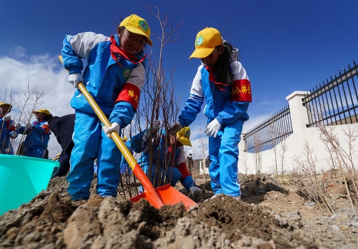 2025年4月25日，西藏那曲市小學(xué)生在植樹(shù)。新華社記者 晉美多吉 攝