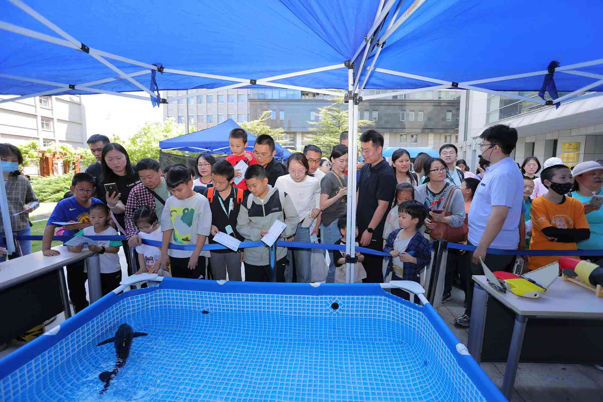 水下仿生機(jī)器魚在活動現(xiàn)場大受歡迎。中國科學(xué)院自動化研究所供圖